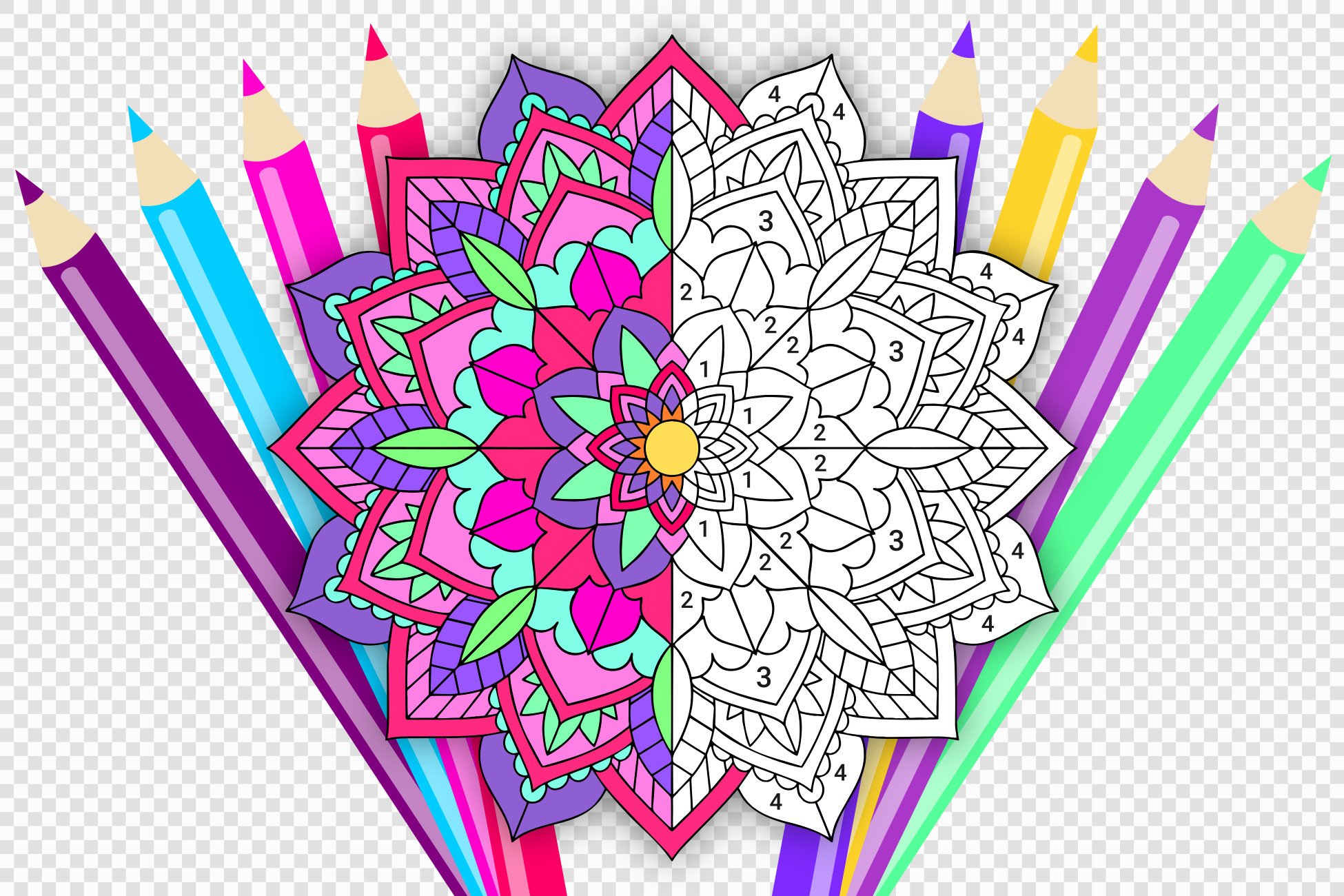 picture coloring - color by numbers game | 包 | unity asset