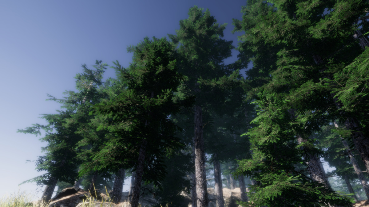 Mountain Trees For unity