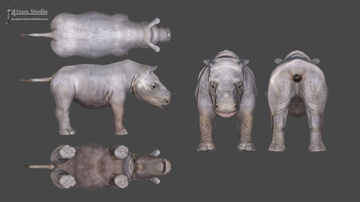 African Animal Pack For Unity动物模型包